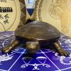 El Yapımı Bakır Kaplumbağa 2